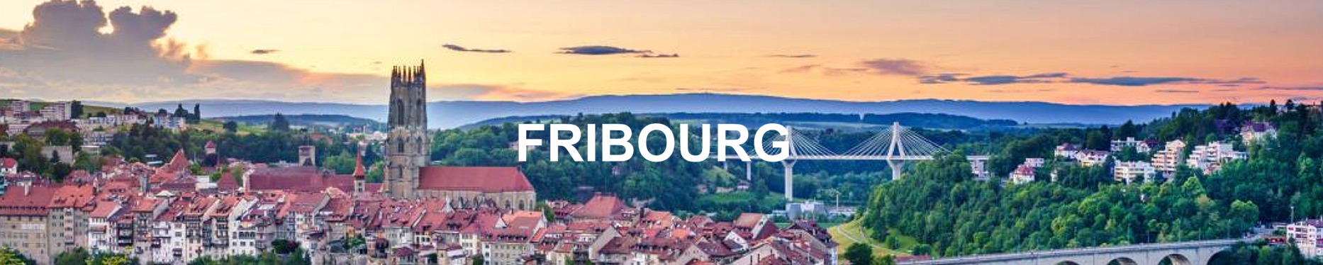 prix m2 immobilier fribourg 2021