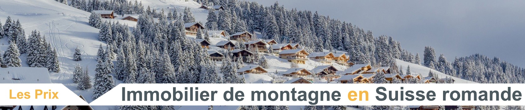 prix m2 immobilier montagne suisse 2022