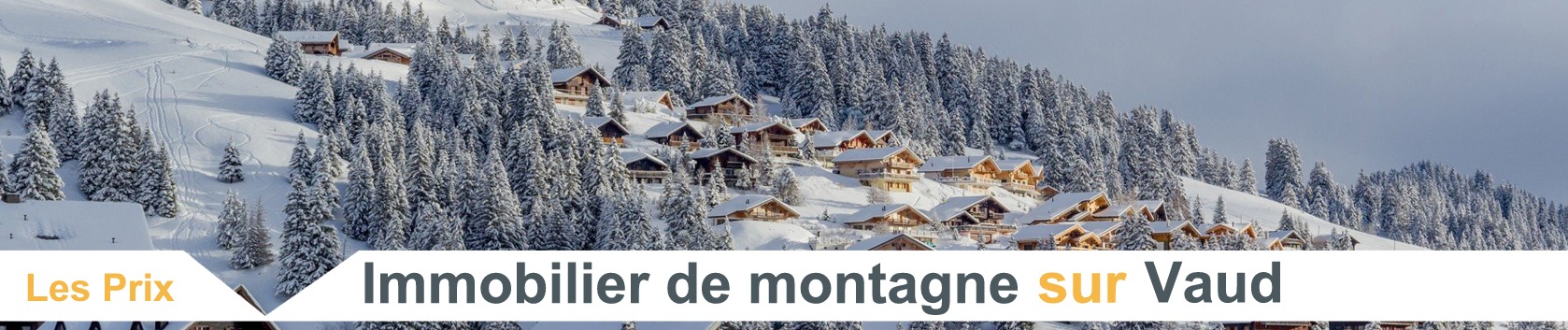 prix m2 immobilier montagne vaud 2022