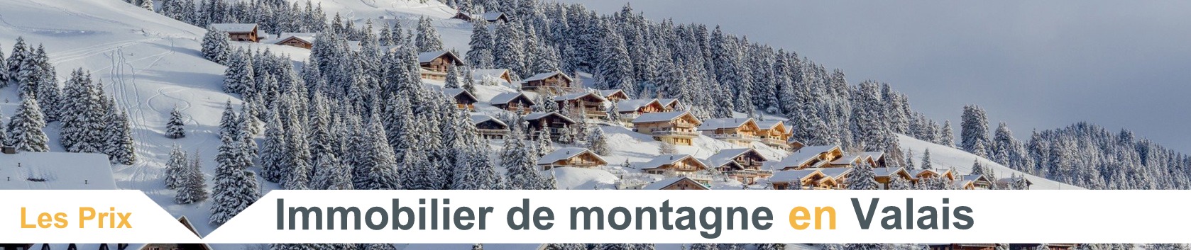 prix m2 immobilier montagne valais 2022