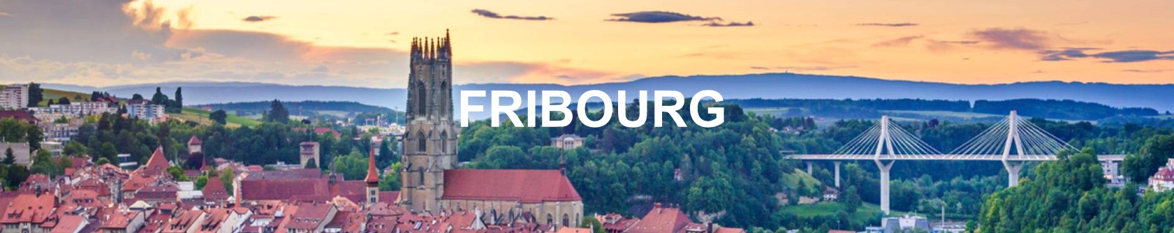 prix m2 immobilier fribourg par commune 2023